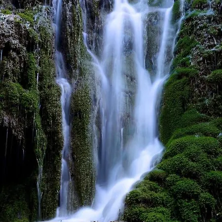 Nenufar Apartamento Alhama de Aragón