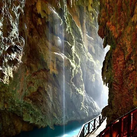 Nenufar * Alhama de Aragón