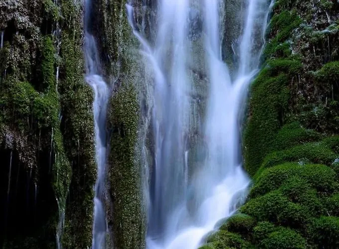 Nenufar Lägenhet Alhama de Aragón