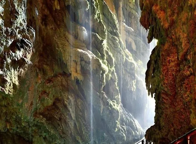 Nenufar * Alhama de Aragón